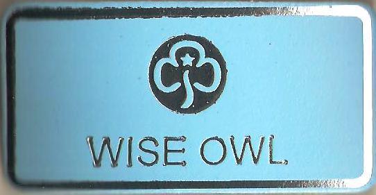 Wise Owl, Guiders Leather Name Badge, Sky Blue