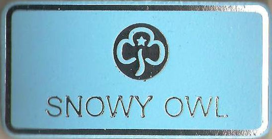 Snowy Owl, Guiders Leather Name Badge, Sky Blue