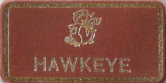 Hawkeye, Beaver Leaders Leather Name Badge, Tan