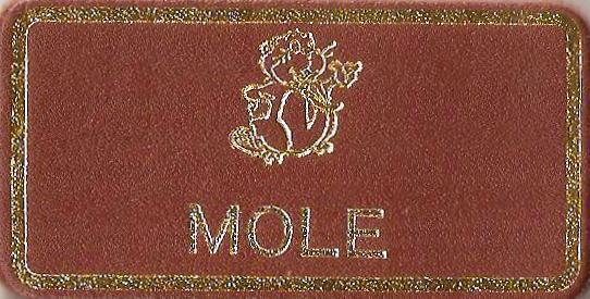 Mole, Beaver Leaders Leather Name Badge, Tan