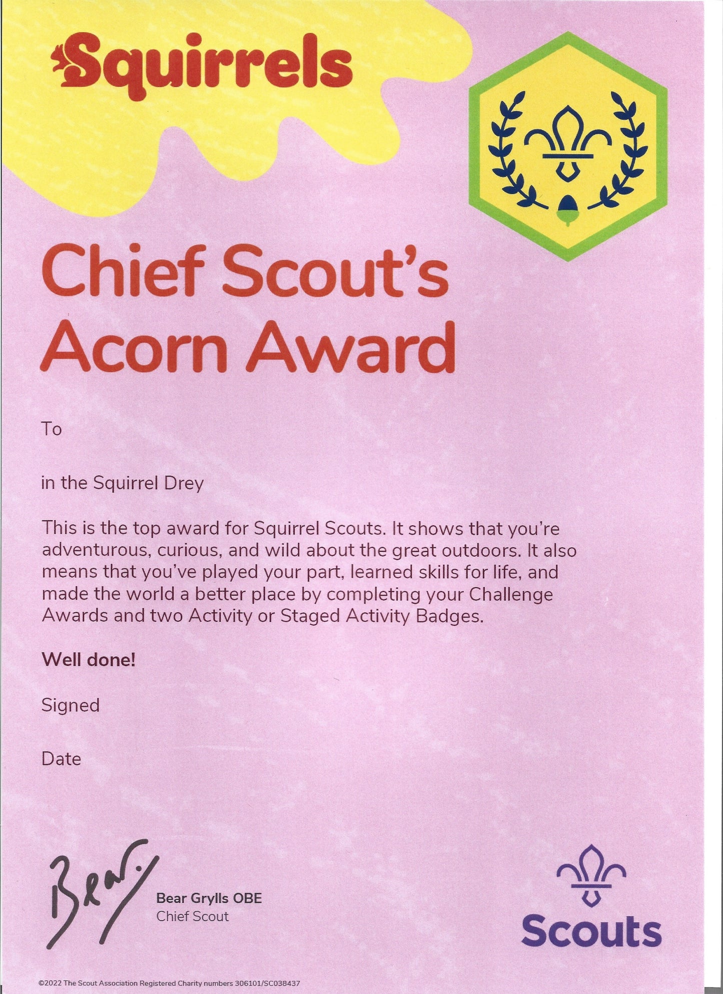 Squirrels Chief Scouts Acorn Award Certificates, pack of 10