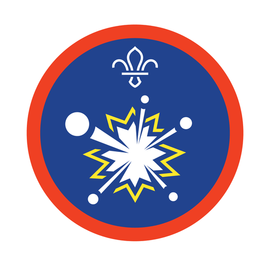 Scout Scientist Activity Badge,  Project X