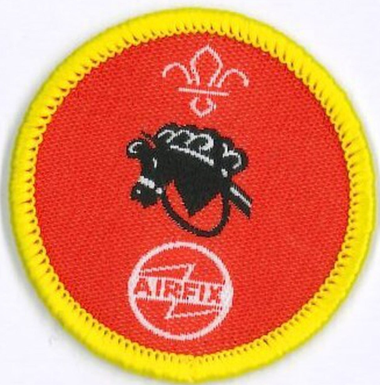 Cub Scout Hobbies Activity Badge, (Airfix)