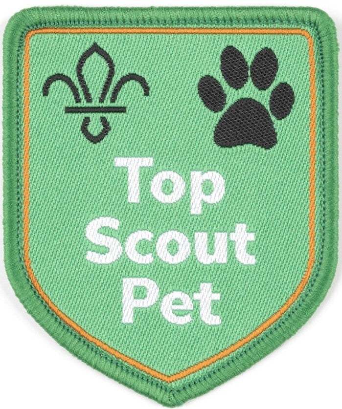 Top Scout Pet Fun Badge