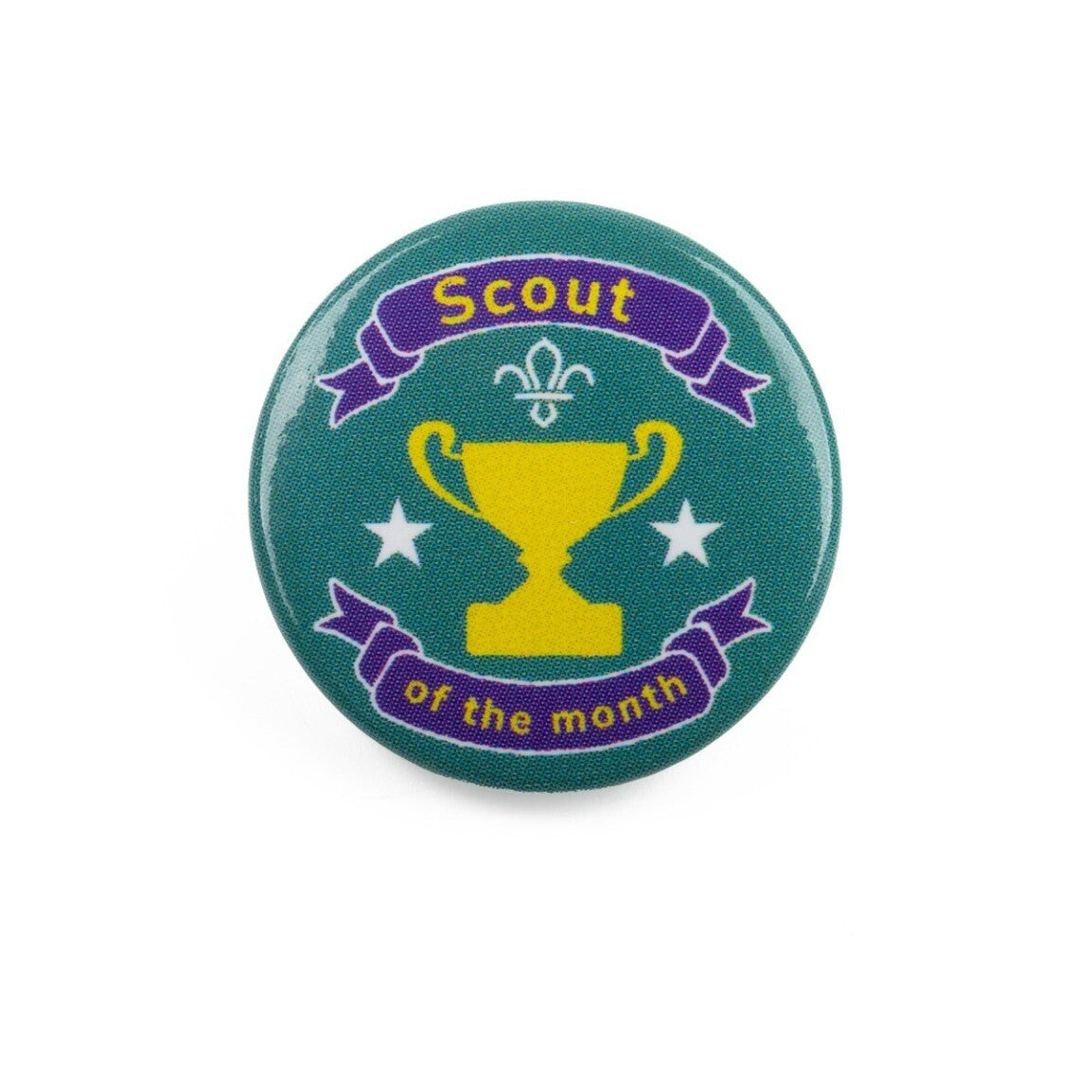 Scout of the Month Button Badge