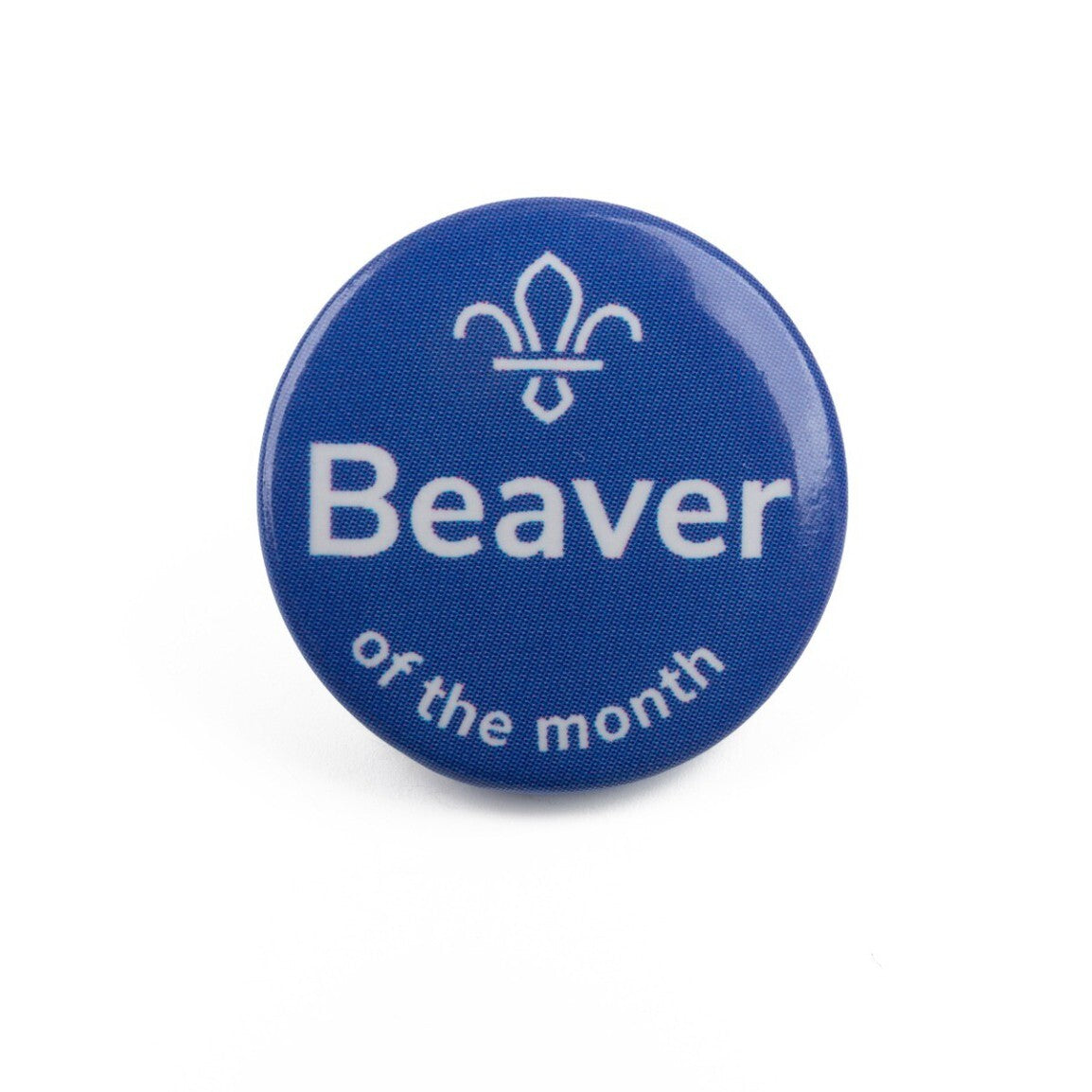 Beaver of the Month Button Badge