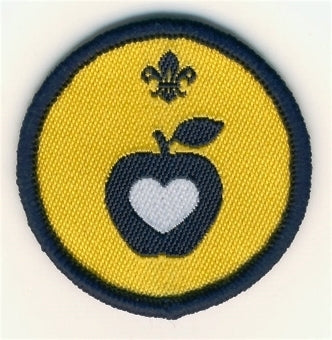 Beaver Scout Health and Fitness Activity Badge Not sponsored OLD FDL