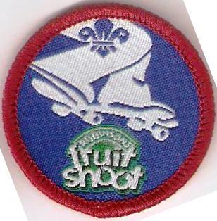 Scout Street Sports Activity Badge Fruit Shoot OLD FDL