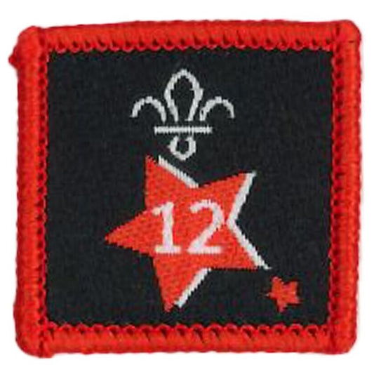 Participation or Joining in Badge, Star. 12 Year,