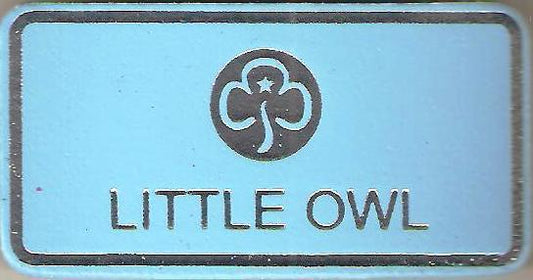 Little Owl, Guiders Leather Name Badge, Sky Blue