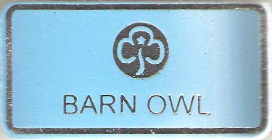 Barn Owl, Guiders Leather Name Badge, Sky Blue