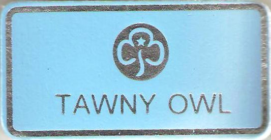 Tawny Owl, Guiders Leather Name Badge, Sky Blue