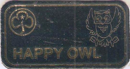 Happy Owl, Guiders Leather Character Name Badge, Navy Blue