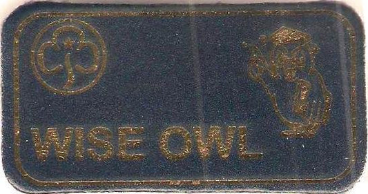 Wise Owl, Guiders Leather Character Name Badge, Navy Blue