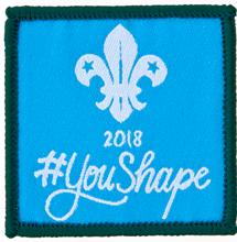 YouShape badge, Cubs 2018, 5cm square