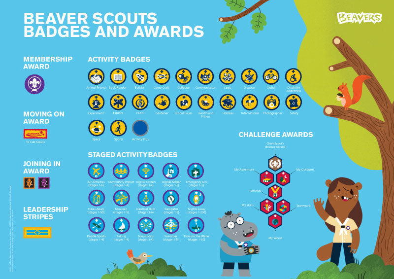 Beaver Badges Wall Poster A1   2018