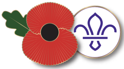 Rememberance Poppy and FDL Pin Badge