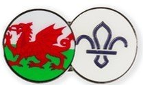 Wales FDL Pin badge