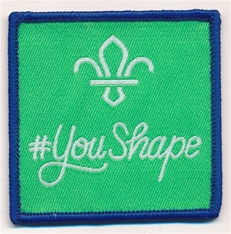 YouShape badge, Cubs, 2019-2020, 5cm square