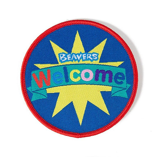 Welcome to Beavers Fun Badge